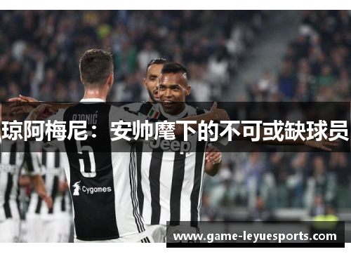 琼阿梅尼：安帅麾下的不可或缺球员