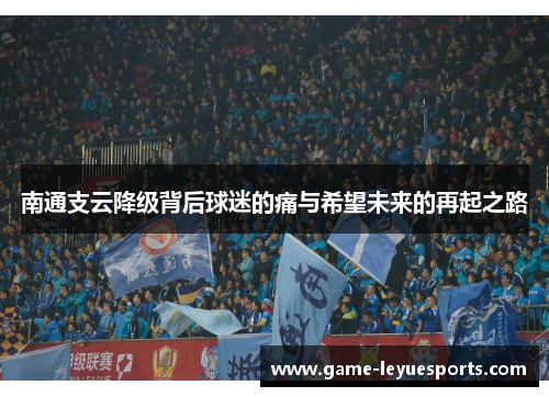 南通支云降级背后球迷的痛与希望未来的再起之路
