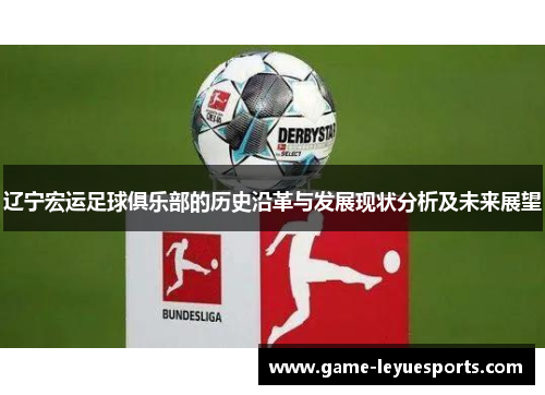 辽宁宏运足球俱乐部的历史沿革与发展现状分析及未来展望
