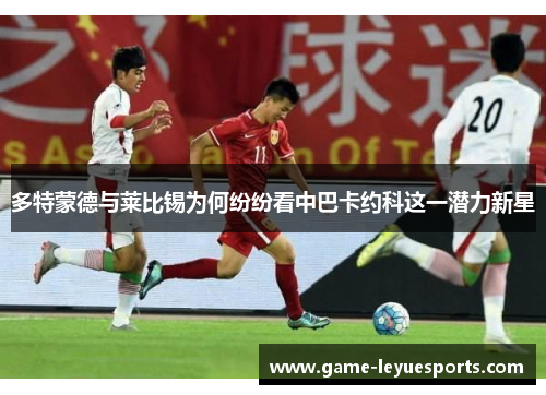 多特蒙德与莱比锡为何纷纷看中巴卡约科这一潜力新星